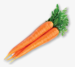 Baby Carrot, HD Png Download, Transparent PNG