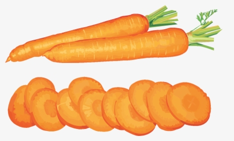 Vegetables Clipart Baby - Vegetables Slices Cartoon, HD Png Download, Transparent PNG