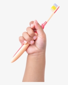 Child Hand Holding Toothbrush, HD Png Download, Transparent PNG