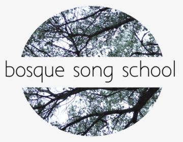 Bosque Song School - Tree, HD Png Download, Transparent PNG