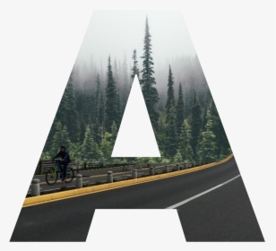#a #road #camino #bosque #forest #letter #letra - Evergreens In The Wild, HD Png Download, Transparent PNG