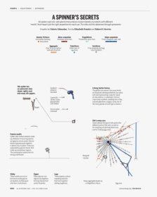 Diagram, HD Png Download, Transparent PNG