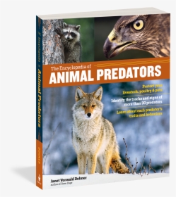 Cover - Animal Encyclopedia, HD Png Download, Transparent PNG