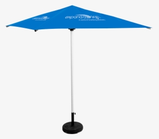 Acacia - Umbrella, HD Png Download, Transparent PNG