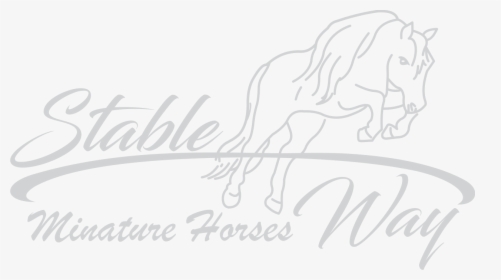 Stable Way - Holiday Island, HD Png Download, Transparent PNG