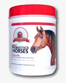 Stable Png, Transparent Png, Transparent PNG