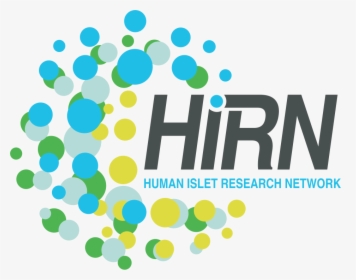 Human Islet Research Network, HD Png Download, Transparent PNG