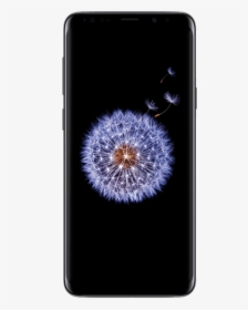 Samsung Galaxy S9 Age, HD Png Download, Transparent PNG