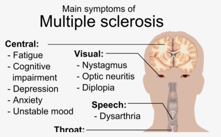 Multiple Sclerosis Symptoms, HD Png Download, Transparent PNG