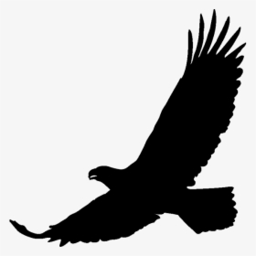 Art Black Eagle Transprent Png Free Download - Stickers Aigle, Transparent Png, Transparent PNG