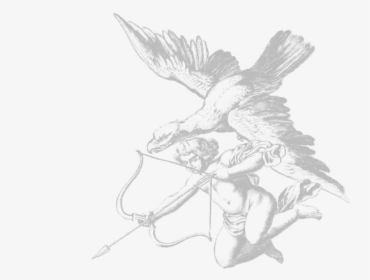 Sketch, HD Png Download, Transparent PNG