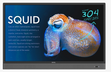 Benq Rm5501k, HD Png Download, Transparent PNG