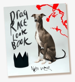 Vanya Velour S Drag Race Look Book - Kangaroo, HD Png Download, Transparent PNG