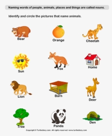 Of Example X Letter Adjectives Naming Animal Diary - Naming Words For  Things, HD Png Download , Transparent Png Image - PNGitem