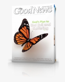 The Good News September-october - 3d Butterfly, HD Png Download, Transparent PNG