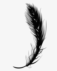 Feather Pen Png - Clipart Feather Png Black And White, Transparent Png, Transparent PNG