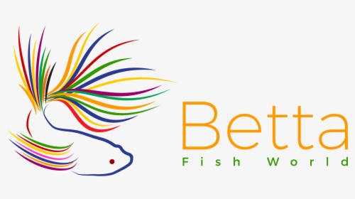 Betta Fish World - Graphic Design, HD Png Download, Transparent PNG