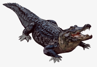 Alligator Transparent Background, HD Png Download, Transparent PNG