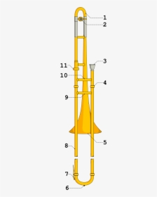 Diagram Of A Trombone, HD Png Download, Transparent PNG