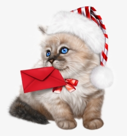 Tube Noël - Ragdoll Kittens Clipart, HD Png Download, Transparent PNG
