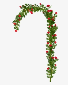 Rosebush Arch Element Png Clipart Picture - Arch Roses Png, Transparent Png, Transparent PNG