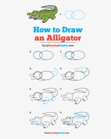 How To Draw Alligator - Draw A Playground Step By Step, HD Png Download, Transparent PNG