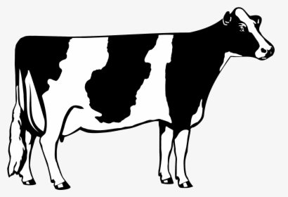 Cow Png Clipart - Dairy Cow Clip Art, Transparent Png, Transparent PNG