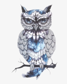Owl Drawing Artist Bird Tattoo Png Free Photo Clipart - Owl Png, Transparent Png, Transparent PNG