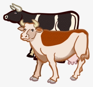 Cows Coloured Big Image - Two Cows Clipart, HD Png Download, Transparent PNG