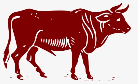 Area,ox,dairy Cow - Beef Ox, HD Png Download, Transparent PNG