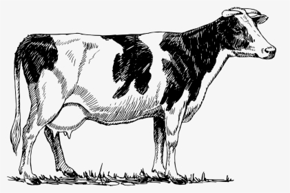 Clipart - Cow Vintage Png, Transparent Png, Transparent PNG