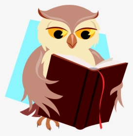Reading Owl Clipart Schliferaward Transparent Png - Reading Owl Png, Png Download, Transparent PNG