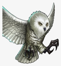 Gems Of War Wikia - Snowy Owl Png, Transparent Png, Transparent PNG
