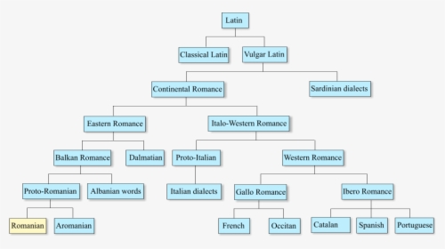 Romance Languages And Romanian - Romanian Language Family Tree, HD Png Download, Transparent PNG