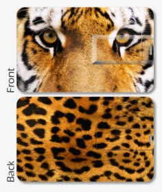 Tiger Print Card Pen Drive - Cheetah Fur, HD Png Download, Transparent PNG