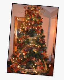 Christmas Tree, HD Png Download, Transparent PNG