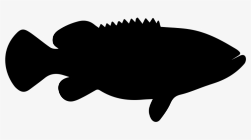Goliath Grouper Fish Shape - Grouper Fish Shape, HD Png Download, Transparent PNG