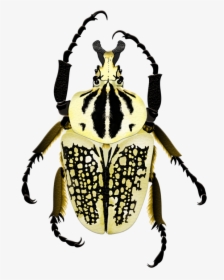 Goliath, HD Png Download, Transparent PNG