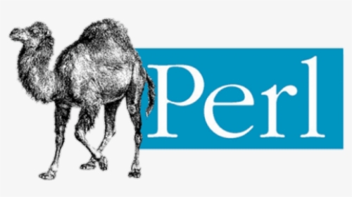 Perl Language Logo Png, Transparent Png, Transparent PNG