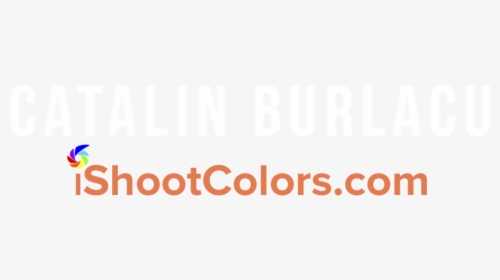 Logo Nou2, HD Png Download, Transparent PNG