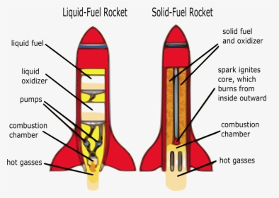 Clipart Rocket Diagram Parts Of A Rocket Big Image - Inside A Rocket Diagram, HD Png Download, Transparent PNG
