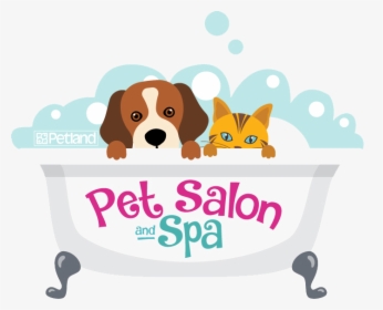 Pet Spa Cartoon, HD Png Download, Transparent PNG