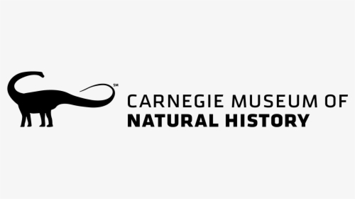 Logo Carnegie Museum Of Natural History - Carnegie Museum Of Natural History Logo, HD Png Download, Transparent PNG