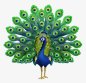 #iphone #emoji #emojis #iphoneemoji #emojisticker - Apple Peacock Emoji, HD Png Download, Transparent PNG