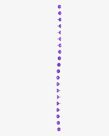 Circle, HD Png Download, Transparent PNG