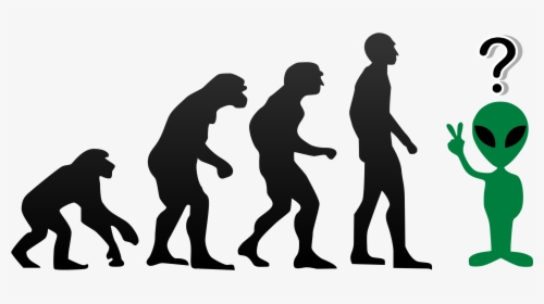 Unadapted Us How We Ve Been Screwed By Evolution - Evolution Of Man 4 Stages, HD Png Download, Transparent PNG