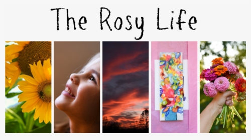 The Rosy Life - Sunflower, HD Png Download, Transparent PNG