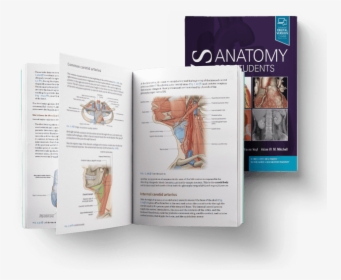 Gray's Anatomy For Students Inside, HD Png Download, Transparent PNG