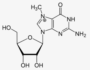 Azacitidine Structure, HD Png Download, Transparent PNG