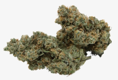 Dank Weed Png, Transparent Png, Transparent PNG